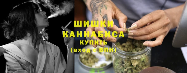 хмурый Карпинск