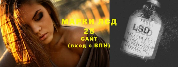 хмурый Карпинск