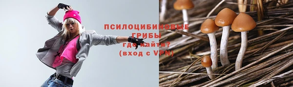 ПСИЛОЦИБИНОВЫЕ ГРИБЫ Покров