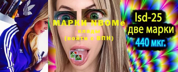 хмурый Карпинск