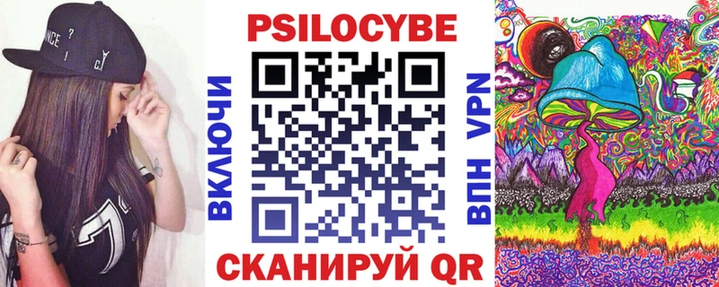 Купить закладки  Заречный  Галлюциногенные грибы Psilocybe 